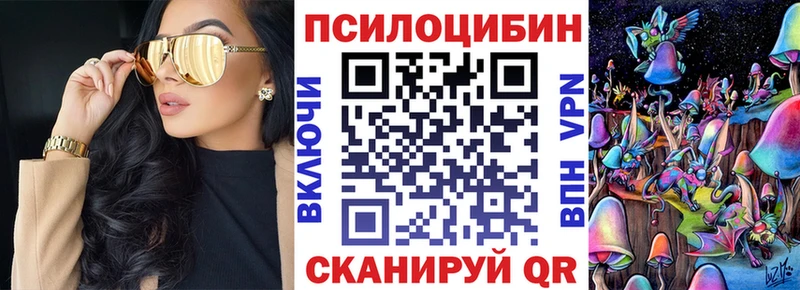 KRAKEN зеркало  Каспийск  Псилоцибиновые грибы Psilocybine cubensis 